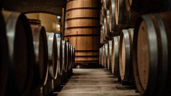 Новый штамм винных дрожжей позволит сделать отечественное вино безопаснее и качественнее